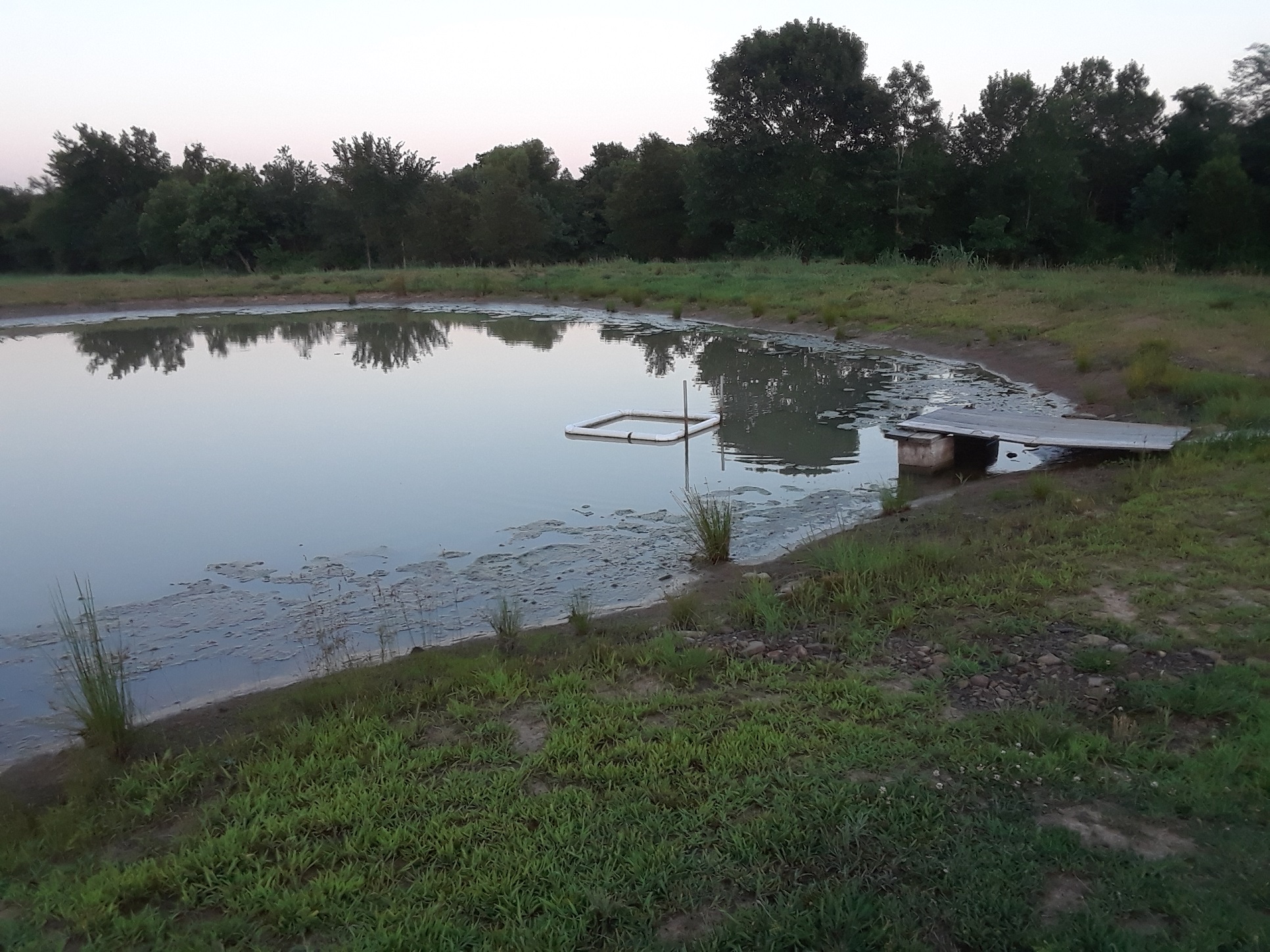 Attached picture non leaking pond.jpg
